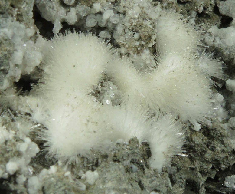 Natrolite from Millington Quarry, Bernards Township, Somerset County, New Jersey