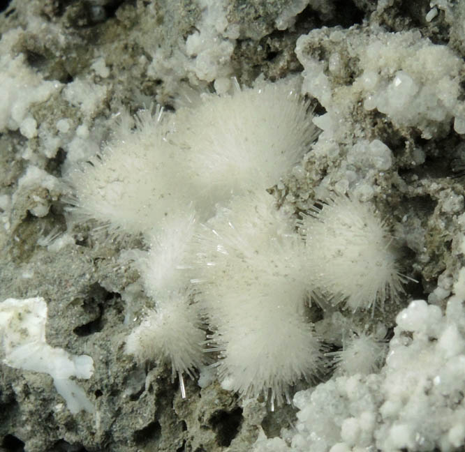 Natrolite from Millington Quarry, Bernards Township, Somerset County, New Jersey