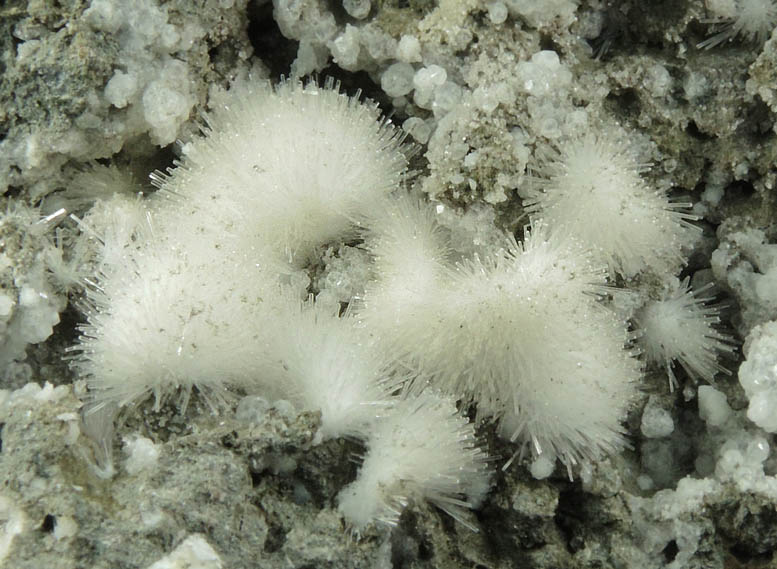 Natrolite from Millington Quarry, Bernards Township, Somerset County, New Jersey