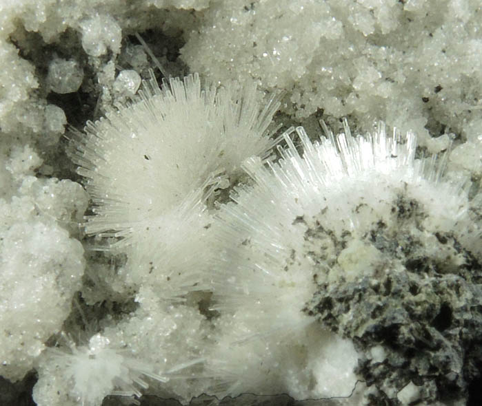 Natrolite and Calcite from Millington Quarry, Bernards Township, Somerset County, New Jersey