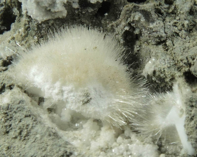 Natrolite and Calcite from Millington Quarry, Bernards Township, Somerset County, New Jersey