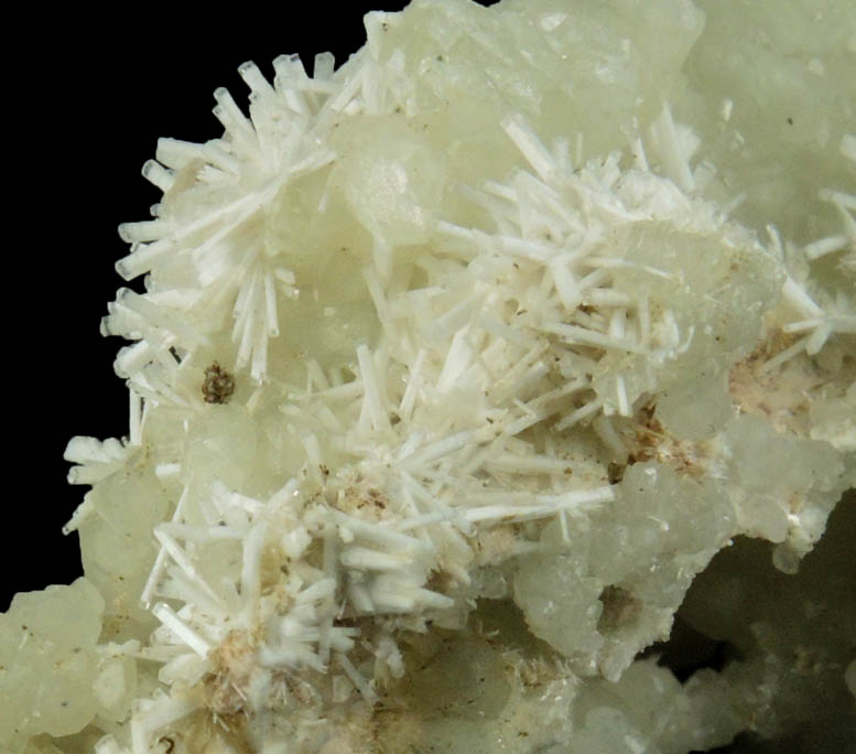 Natrolite on Datolite from Millington Quarry, Bernards Township, Somerset County, New Jersey