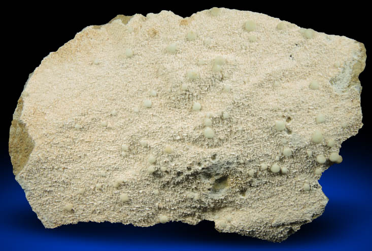 Prehnite on Albite from Interstate 80 road cut, Paterson, Passaic County, New Jersey