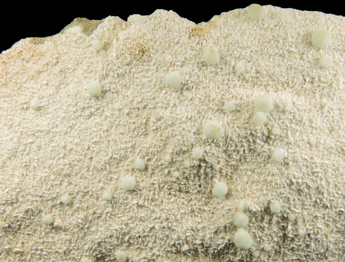 Prehnite on Albite from Interstate 80 road cut, Paterson, Passaic County, New Jersey