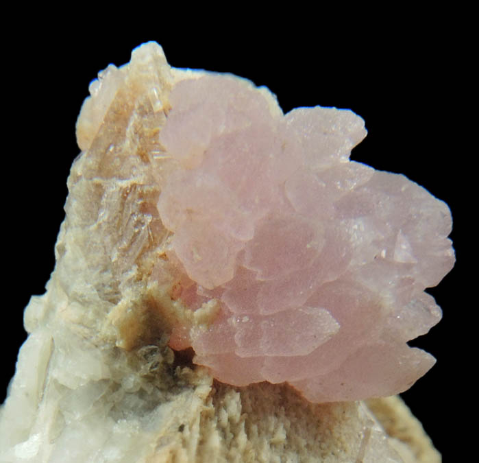 Quartz var. Rose Quartz Crystals from Plumbago Mountain, Newry, Oxford County, Maine