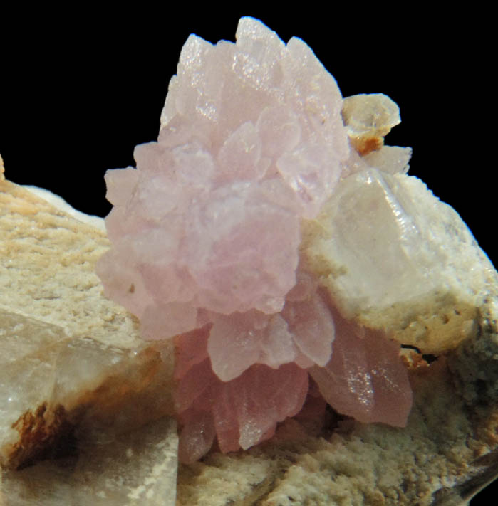 Quartz var. Rose Quartz Crystals from Plumbago Mountain, Newry, Oxford County, Maine