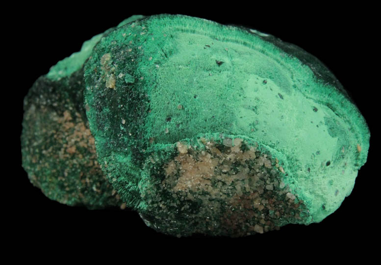 Atacamite from Mount Gunson Mine, South Australia, Australia