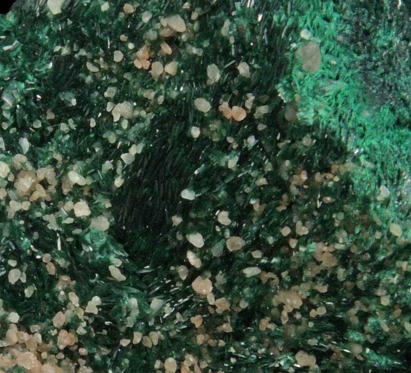 Atacamite from Mount Gunson Mine, South Australia, Australia