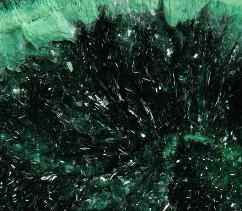 Atacamite from Mount Gunson Mine, South Australia, Australia