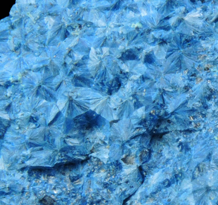 Shattuckite with Ajoite from New Cornelia Mine, Ajo, Pima County, Arizona (Type Locality for Ajoite)