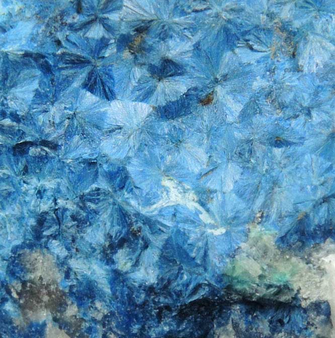 Shattuckite with Ajoite from New Cornelia Mine, Ajo, Pima County, Arizona (Type Locality for Ajoite)