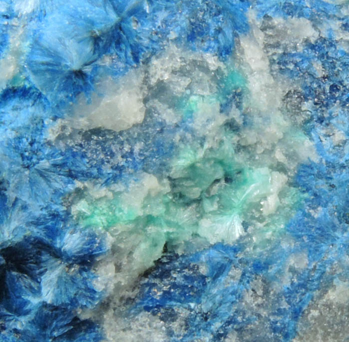 Shattuckite with Ajoite from New Cornelia Mine, Ajo, Pima County, Arizona (Type Locality for Ajoite)