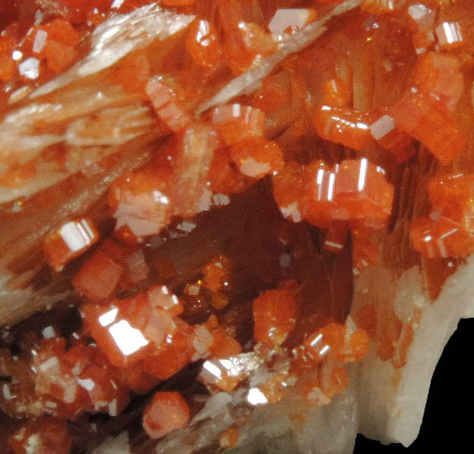 Vanadinite on Barite from Mibladen, Haute Moulouya Basin, Zeida-Aouli-Mibladen belt, Midelt Province, Morocco