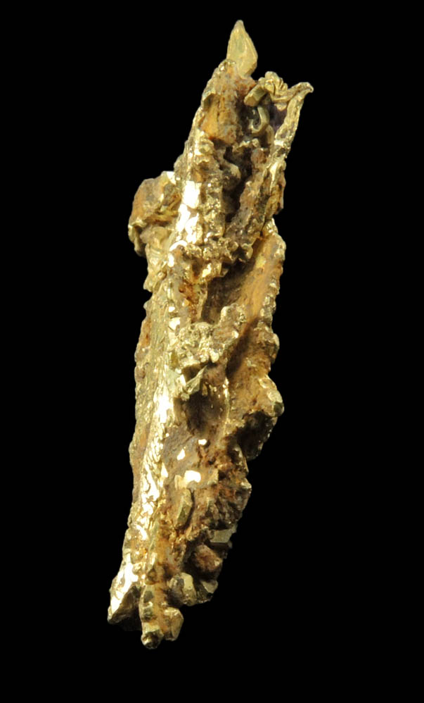 Gold (naturally crystallized twinned native gold) from Mount Kare Mine, Enga Province, Papua New Guinea