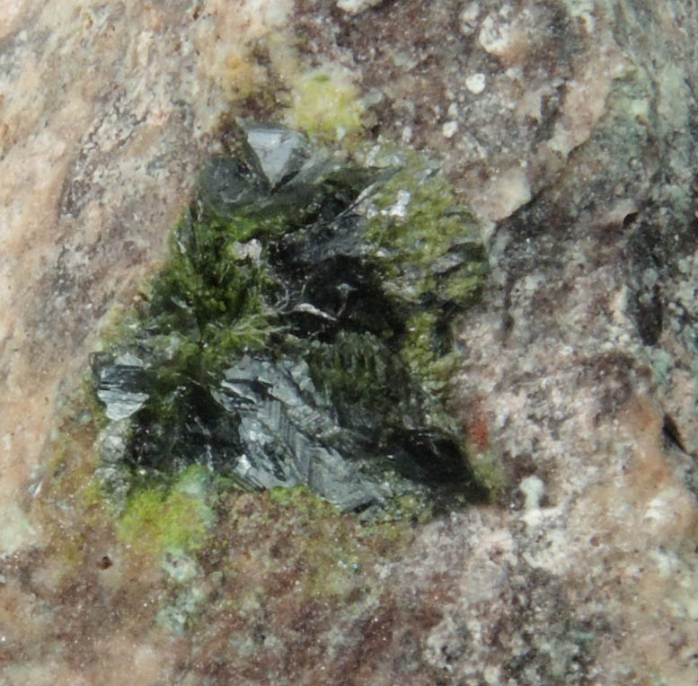 Volborthite from Milpillas Mine, Cuitaca, Sonora, Mexico