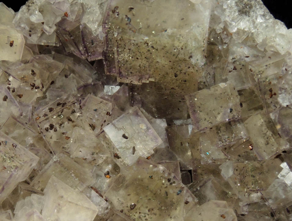 Chalcopyrite on Fluorite from Seata Mine, Aysgarth, Wensleydale, North Yorkshire, England