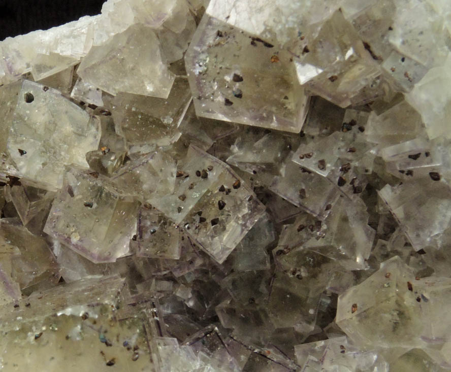 Chalcopyrite on Fluorite from Seata Mine, Aysgarth, Wensleydale, North Yorkshire, England