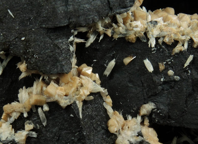 Bultfonteinite and Olmiite from N'Chwaning II Mine, Kalahari Manganese Field, Northern Cape Province, South Africa (Type Locality for Olmiite)