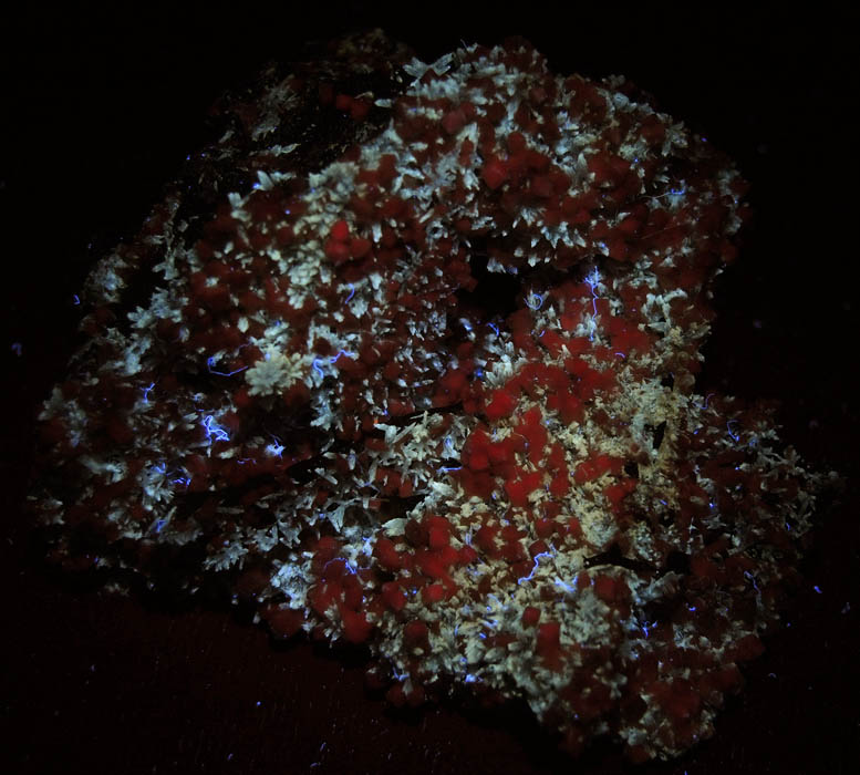Photo below under longwave ultraviolet illumination of Bultfonteinite and Olmiite from N'Chwaning II Mine, Kalahari Manganese Field, Northern Cape Province, South Africa (Type Locality for Olmiite) Bultfonteinite and Olmiite from N'Chwaning II Mine, Kalahari Manganese Field, Northern Cape Province, South Africa (Type Locality for Olmiite)