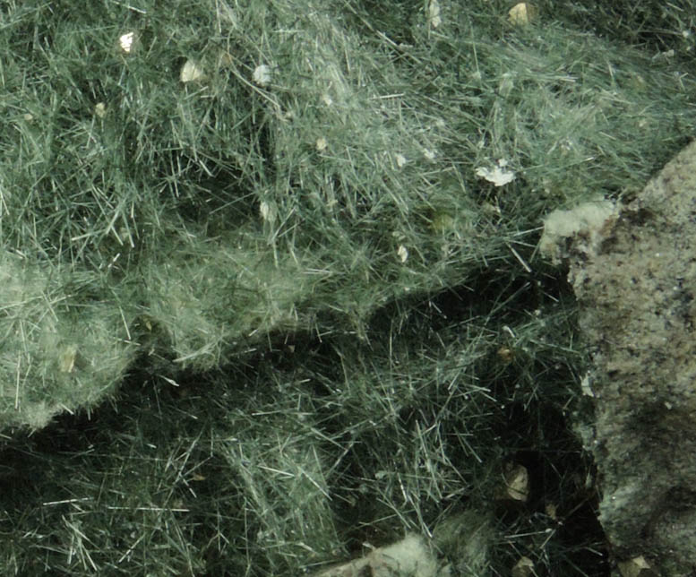 Actinolite var. Byssolite with Pyrite and Magnetite from French Creek Iron Mines, St. Peters, Chester County, Pennsylvania