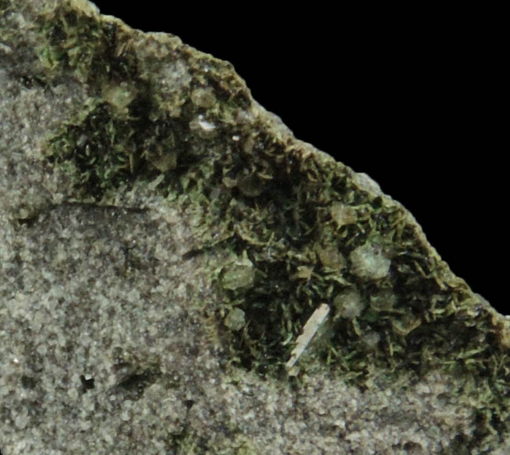 Sodalite from Villa Inglese, Mount Vesuvius, Napoli, Campania, Italy