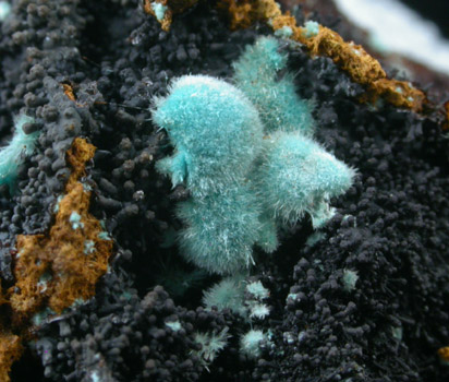 Rosasite from Mine Ojuela, Mapimi, Durango, Mexico