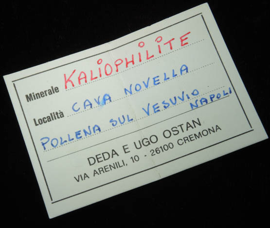 Kaliophilite from Cava Novella, Pollena, Mount Vesuvius, Napoli, Campania, Italy (Type Locality for Kaliophilite)