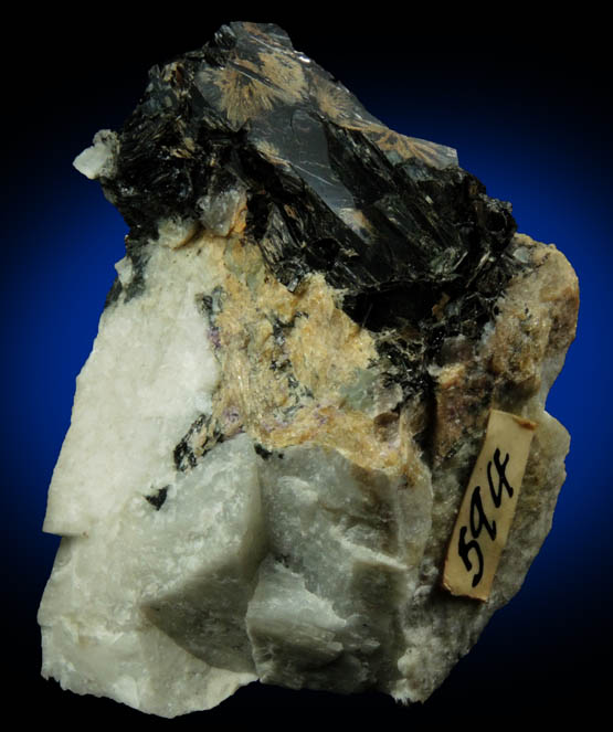 Whlerite with Fluorite, Biotite from Langesundsfjorden, Telemark, Norway (Type Locality for Whlerite)