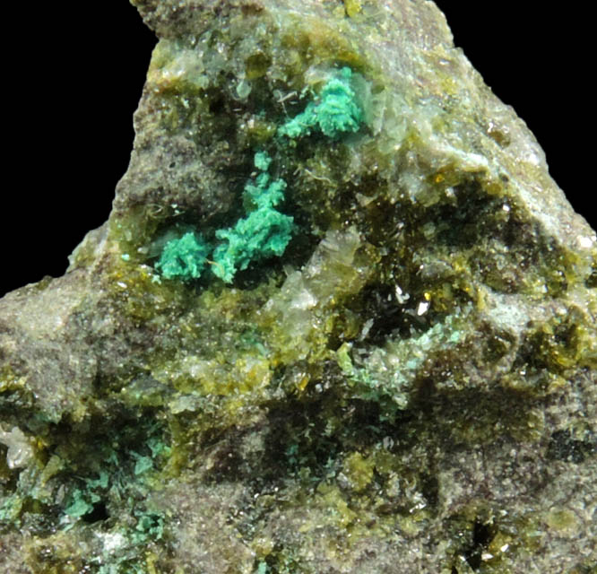 Calumetite, Epidote, Quartz from Centennial Mine, Keweenaw Peninsula Copper District, Houghton County, Michigan (Type Locality for Calumetite)