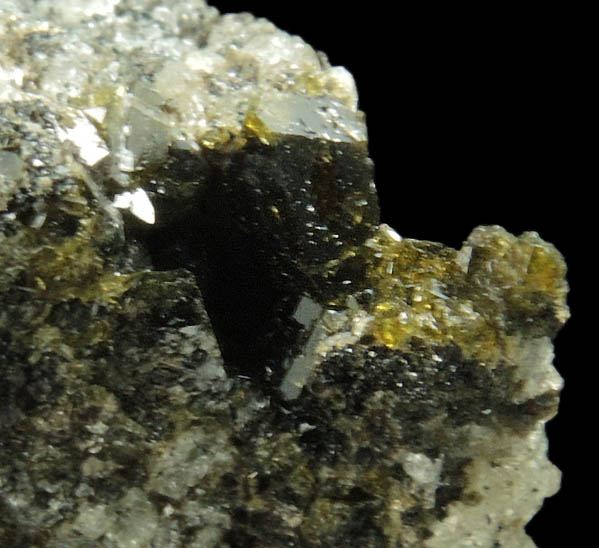 Augite with Biotite from Monte Somma, Napoli, Campania, Italy