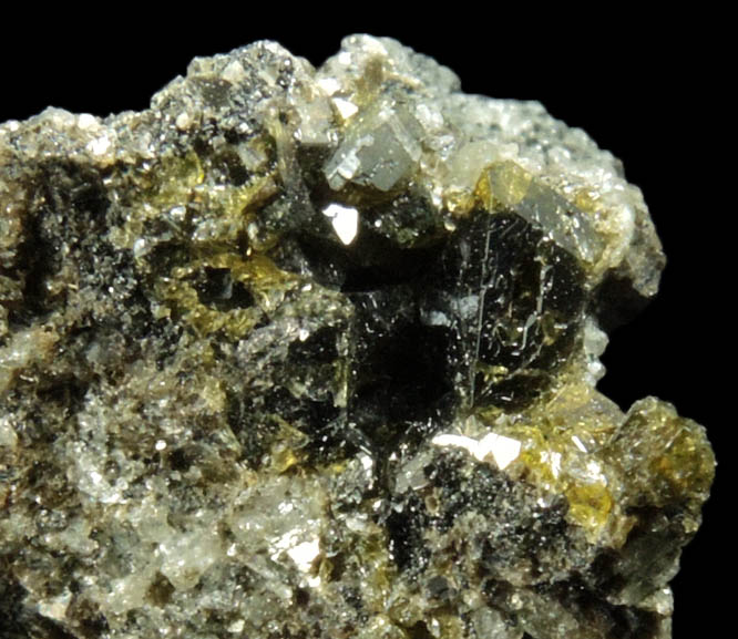 Augite with Biotite from Monte Somma, Napoli, Campania, Italy