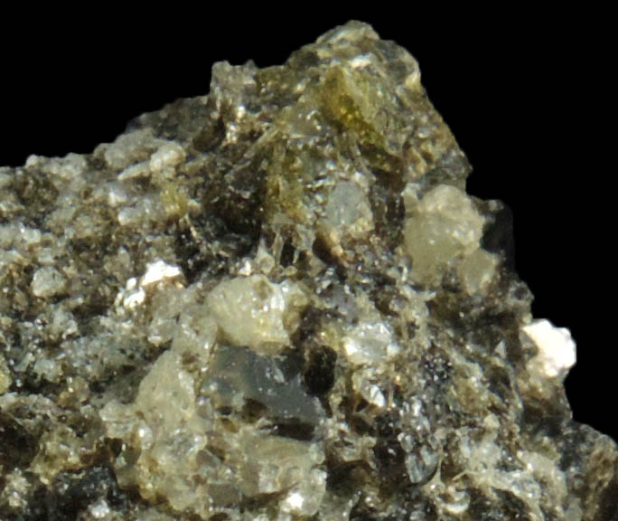 Augite with Biotite from Monte Somma, Napoli, Campania, Italy