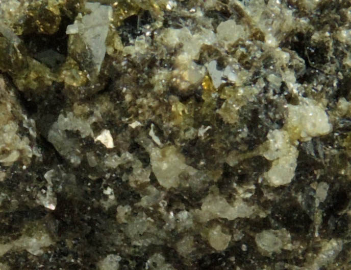 Augite with Biotite from Monte Somma, Napoli, Campania, Italy