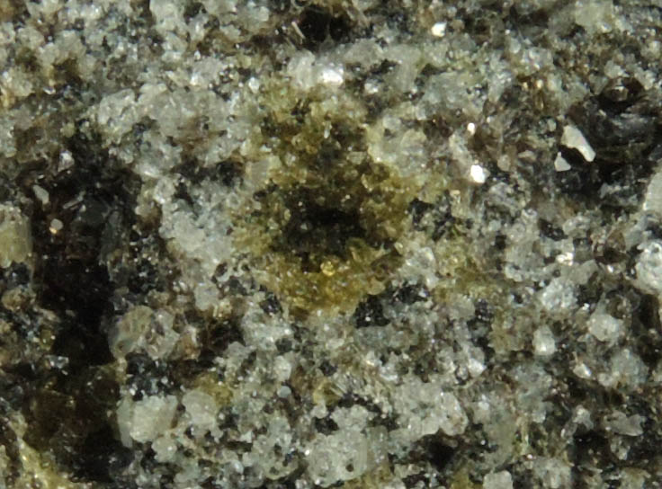 Augite with Biotite from Monte Somma, Napoli, Campania, Italy