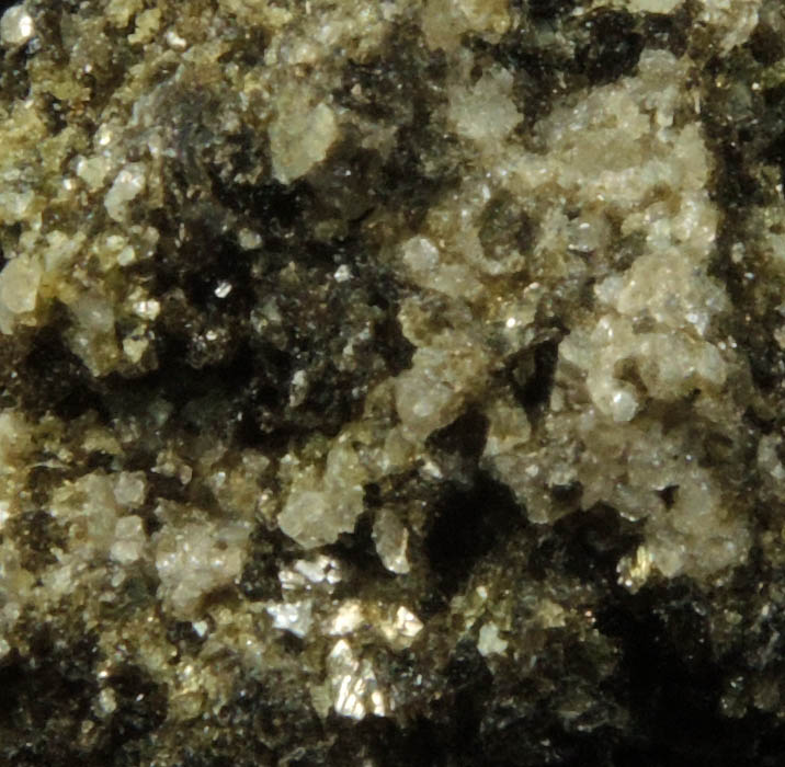 Augite with Biotite from Monte Somma, Napoli, Campania, Italy