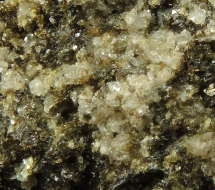 Augite with Biotite from Monte Somma, Napoli, Campania, Italy