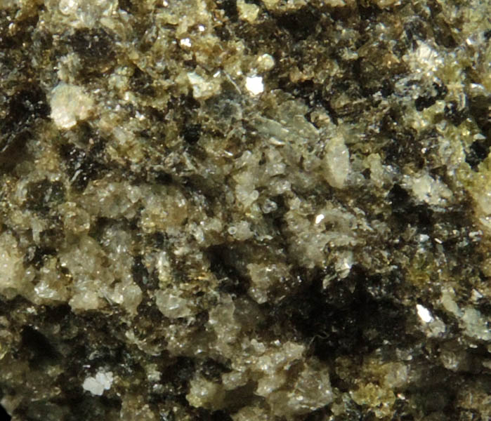 Augite with Biotite from Monte Somma, Napoli, Campania, Italy