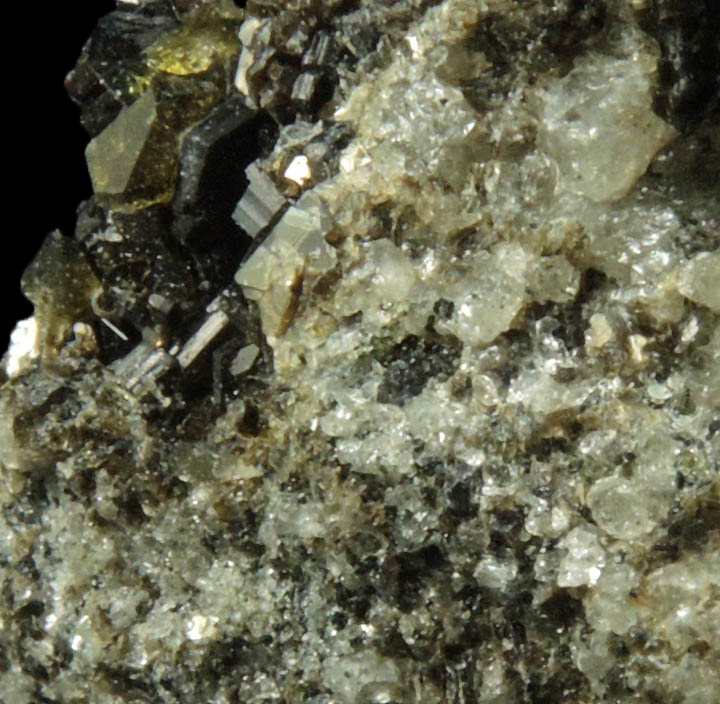 Augite with Biotite from Monte Somma, Napoli, Campania, Italy