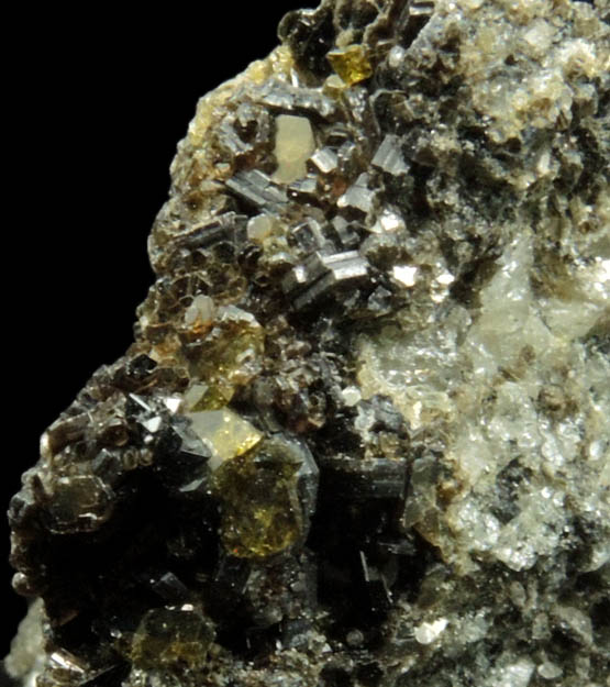 Augite with Biotite from Monte Somma, Napoli, Campania, Italy