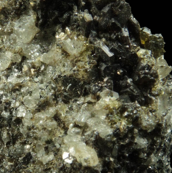 Augite with Biotite from Monte Somma, Napoli, Campania, Italy