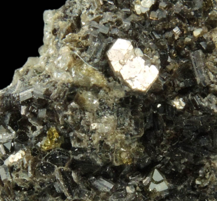 Augite with Biotite from Monte Somma, Napoli, Campania, Italy