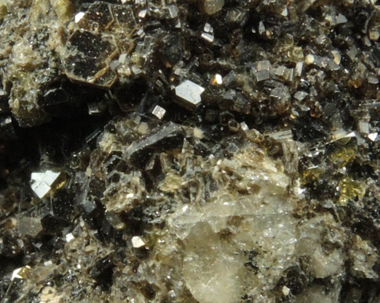 Augite with Biotite from Monte Somma, Napoli, Campania, Italy