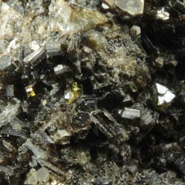 Augite with Biotite from Monte Somma, Napoli, Campania, Italy