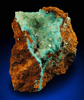 Senegalite on Turquoise from Kouroudaiko Iron Deposit, Faleme River, Tambacounda, Senegal (Type Locality for Senegalite)