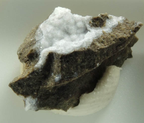 Merlinoite from Cava Cupaello, Santa Rufina, Rieti, Lazio, Italy (Type Locality for Merlinoite)