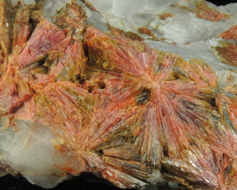 Clinozoisite from Tepustete Ranch, lamos, Sonora, Mexico