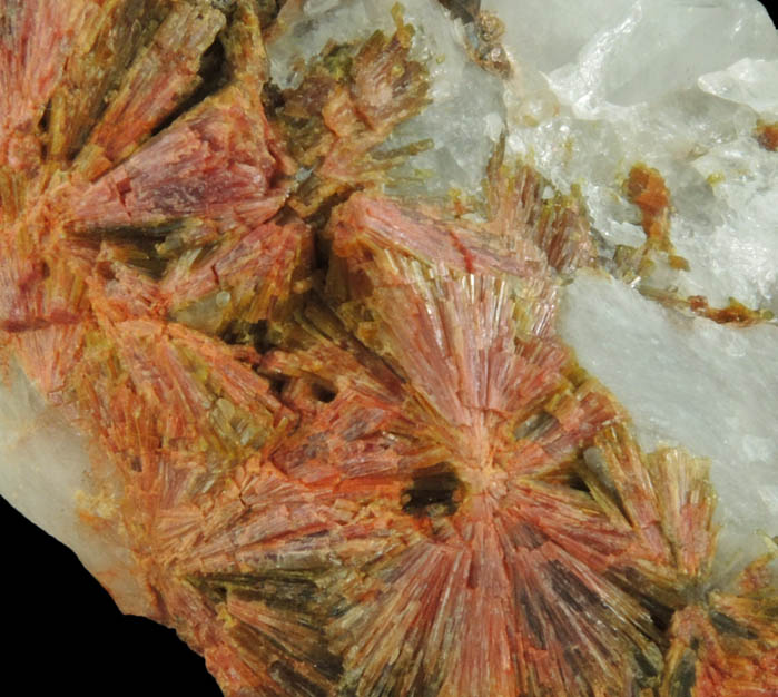 Clinozoisite from Tepustete Ranch, Álamos, Sonora, Mexico
