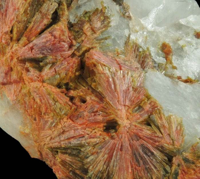 Clinozoisite from Tepustete Ranch, lamos, Sonora, Mexico