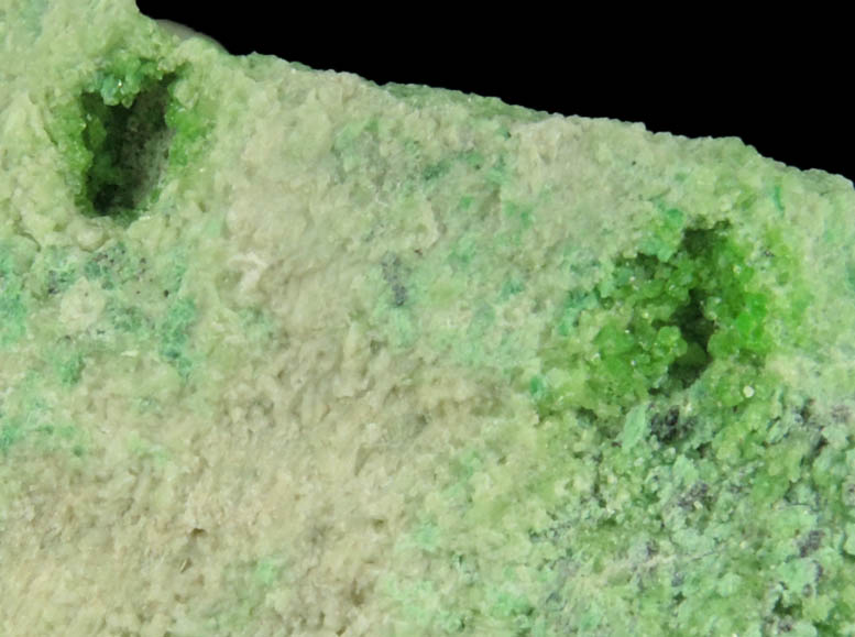 Clinozoisite, Diopside, Tremolite, Uvarovite Garnet from Conc. W, Fengtien Mine, Hualien, 5 kilometers west of Fengtien village, Hualien, Taiwan