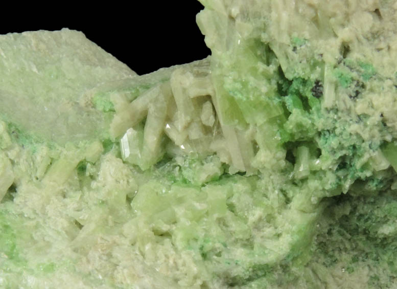 Clinozoisite, Diopside, Tremolite, Uvarovite Garnet from Conc. W, Fengtien Mine, Hualien, 5 kilometers west of Fengtien village, Hualien, Taiwan